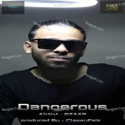 Dangerous Cover