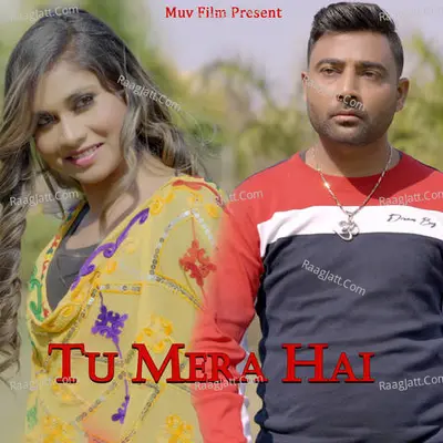 Tu Mera Hai Cover
