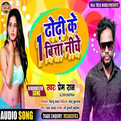 Dhodi Ke Ek Bitta Niche Cover