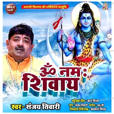 Om Namah Shivay