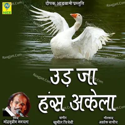 Udd Jaa Hans Akela