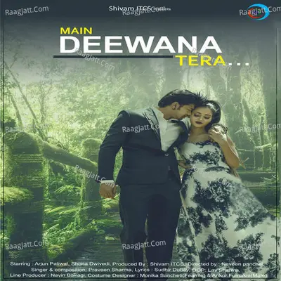 Main Deewana Tera Cover