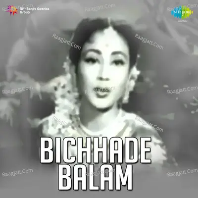 Bichhade Balam Poster
