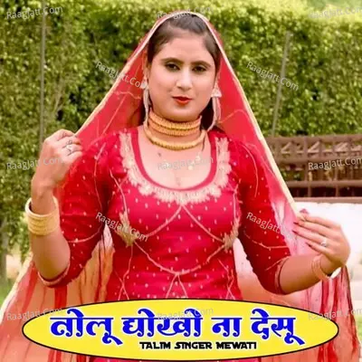Tolu Dhokho Na Desu Poster