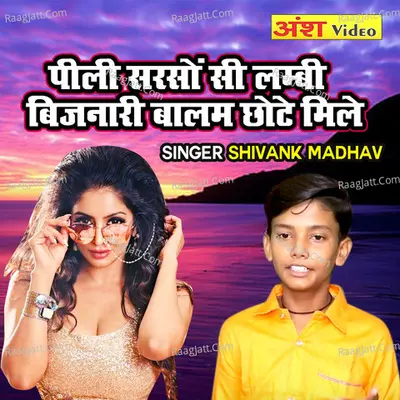 Pili Sarso Si Lambi Bijnari Balam chhote Mile Cover