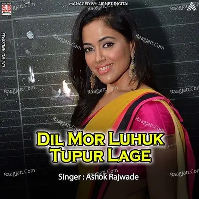 Dil Mor Luhuk Tupur Lage Cover