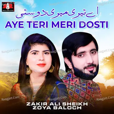 Aye Teri Meri Dosti - Single