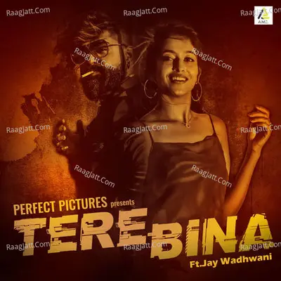 Tere Bina