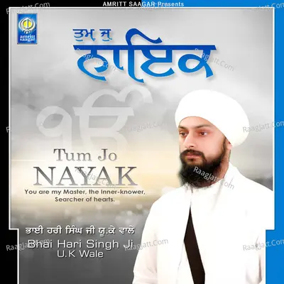 Tum Jo Nayak - Bhai Hari Singh Ji U.K Wale