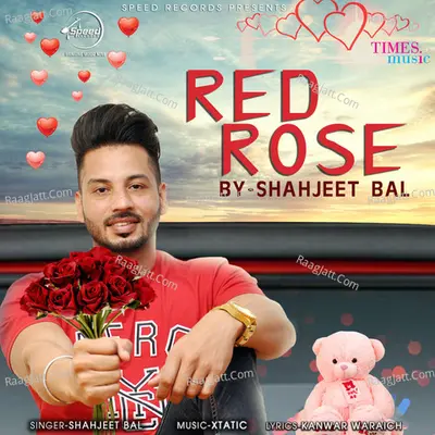 Red Rose Cover