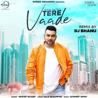 Tere Vaade Remix