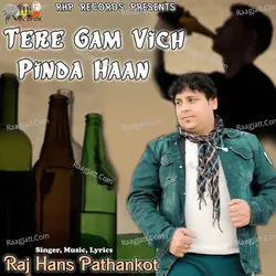 Tere Gam Vich Pinda Haan