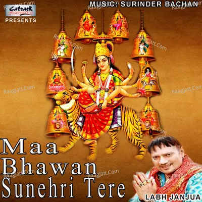 Maa Bhawan Sunehri Tere Poster