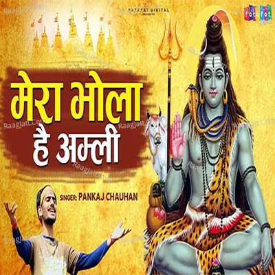 Mera Bhola Hai Amli Cover