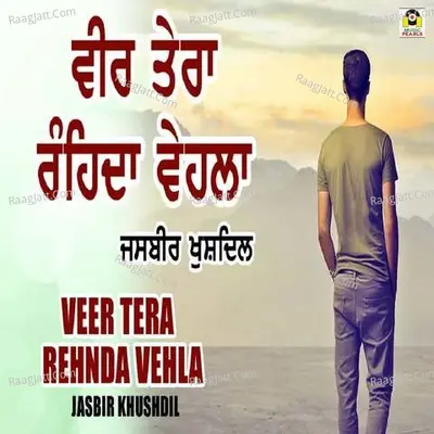 Veer Tera Rehnda Vehla Cover