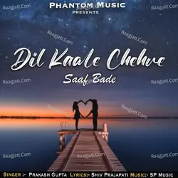 Dil Kaale Chehre Saaf Bade