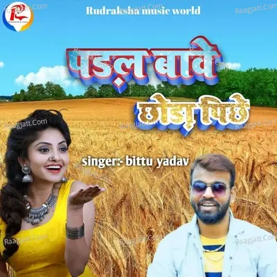 Padal Bawe Chhawada Pichhe Cover
