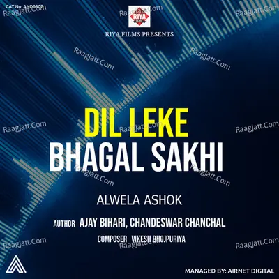 Dil Leke Bhagal Sakhi