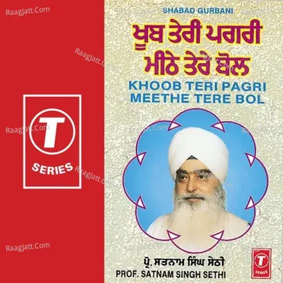 Khoob Teri Pagri Meethe Tere Bol - Satnam Singh Ji Sethi