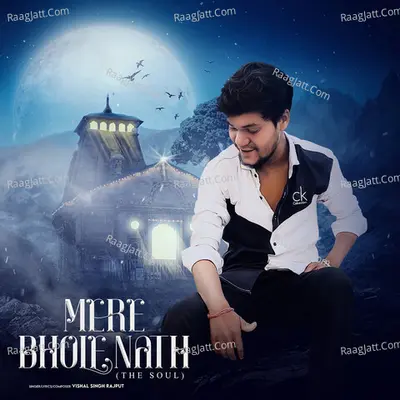Vishal Singh Rajput Image
