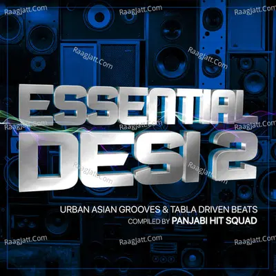Essential Desi 2 Poster