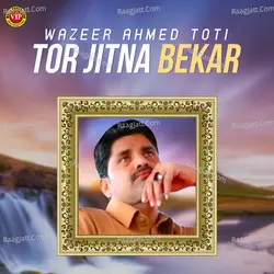 Tor Jitna Bekar - Single