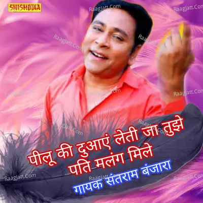 Pilu ki duaye leti jat ja tujhe pati malang mile
