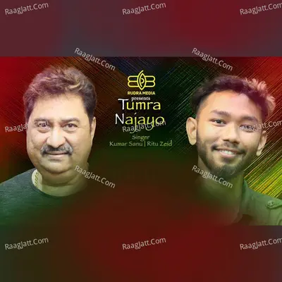 Tumra Najayo Cover