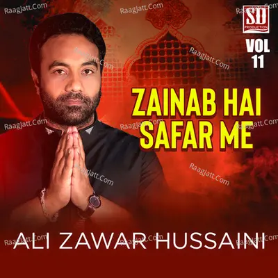 Zainab Hai Safar Me, Vol. 11 - Ali Zawar Hussaini
