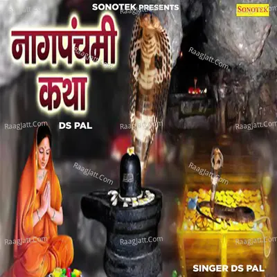 Ds Pal Image
