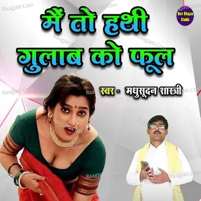 Main To Hathi Gulab Ko Phool Cover
