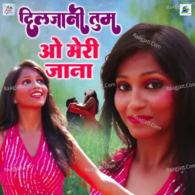Diljani Tum O Meri Jana Cover