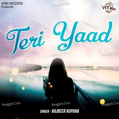 Teri Yaad(Rajbeer Rupana) Poster