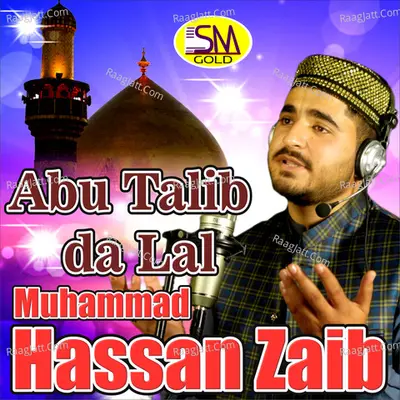 Muhammad Hassan Zaib