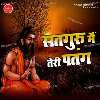 Satguru Mai Teri Patang Cover