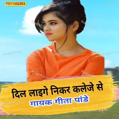 Dil laige nikar kaleje se