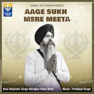 Bhai Baljinder Singh Image