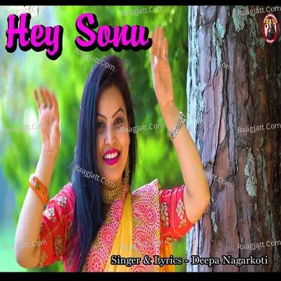 Hey Sonu Cover
