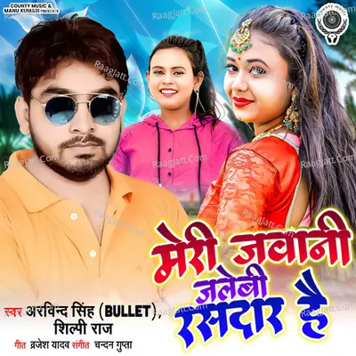 Meri Javani Jalebi Rasdaar Hai Cover