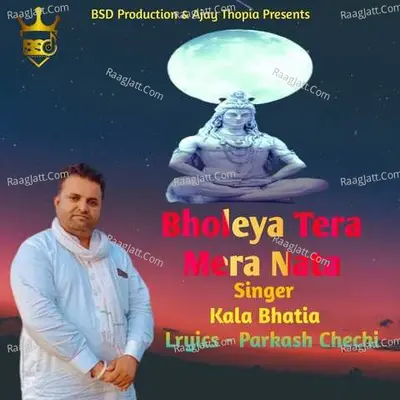 Bholeya Tera Mera Nata Cover