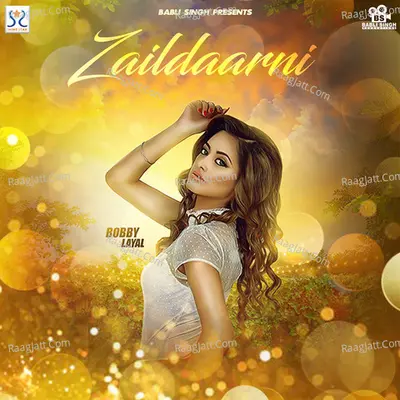 Zaildaarni Cover