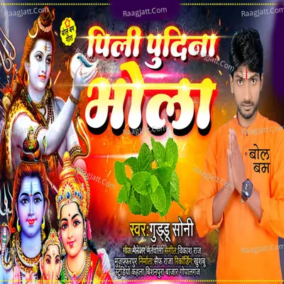 Pili Pudina Bhola