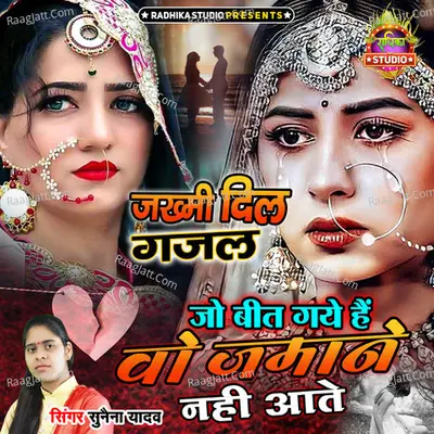 Jo Beet Gaye Hain Zamane Nahi Aate