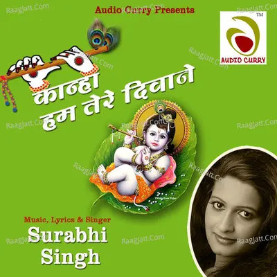 Kanha Hum Tere Deewane Cover