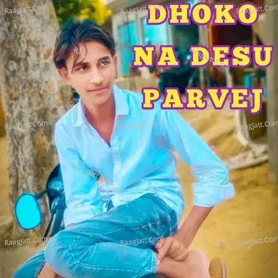 Dhoko Na Desu Parvej Cover