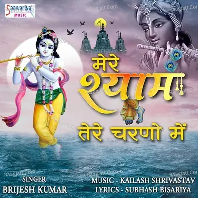 Brijesh Kumar Image