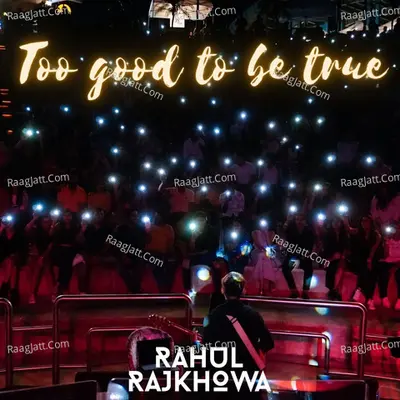 Too Good to Be True Cover