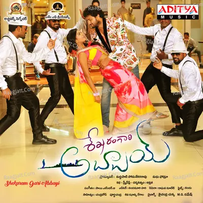 Shekaram Gari Abbayi Poster