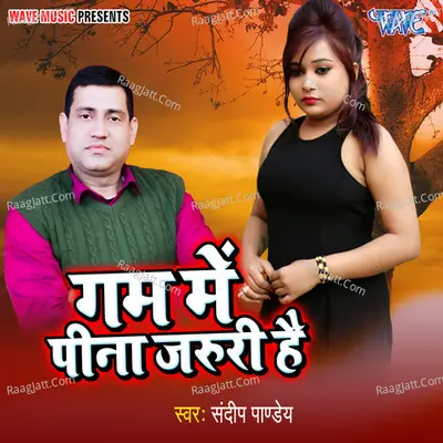Gam Me Pina Jaruri Hai