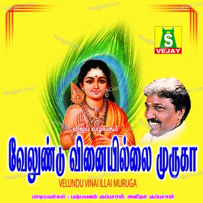Velundu Vinai Illai Muruga - Pushpavanam K Kuppusamy